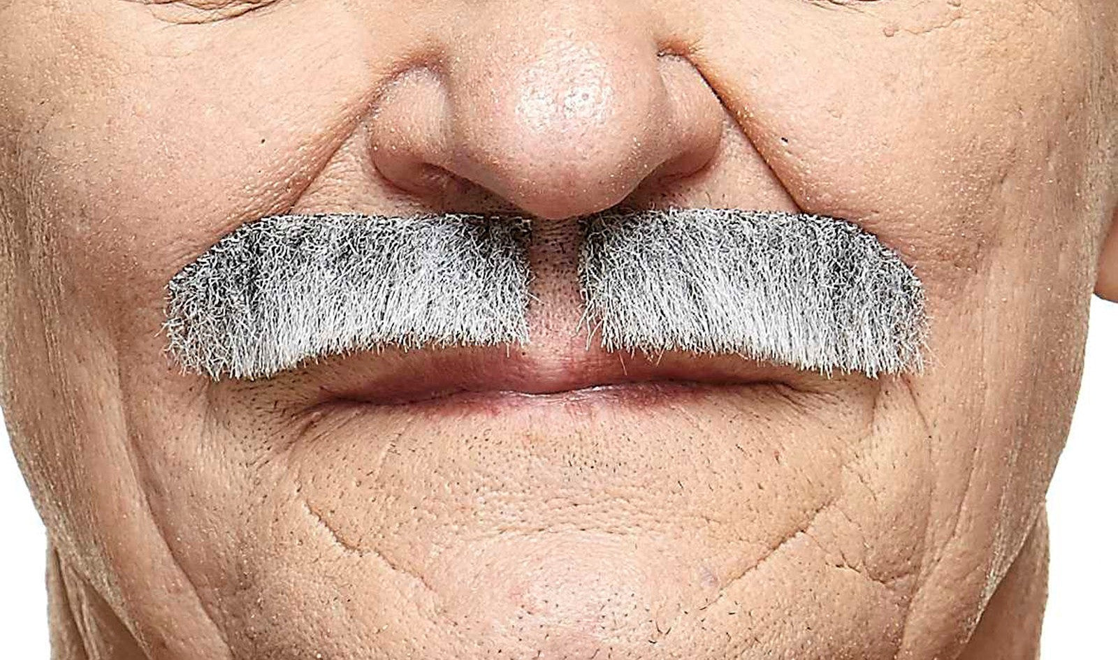 Bigote Canoso Elegante