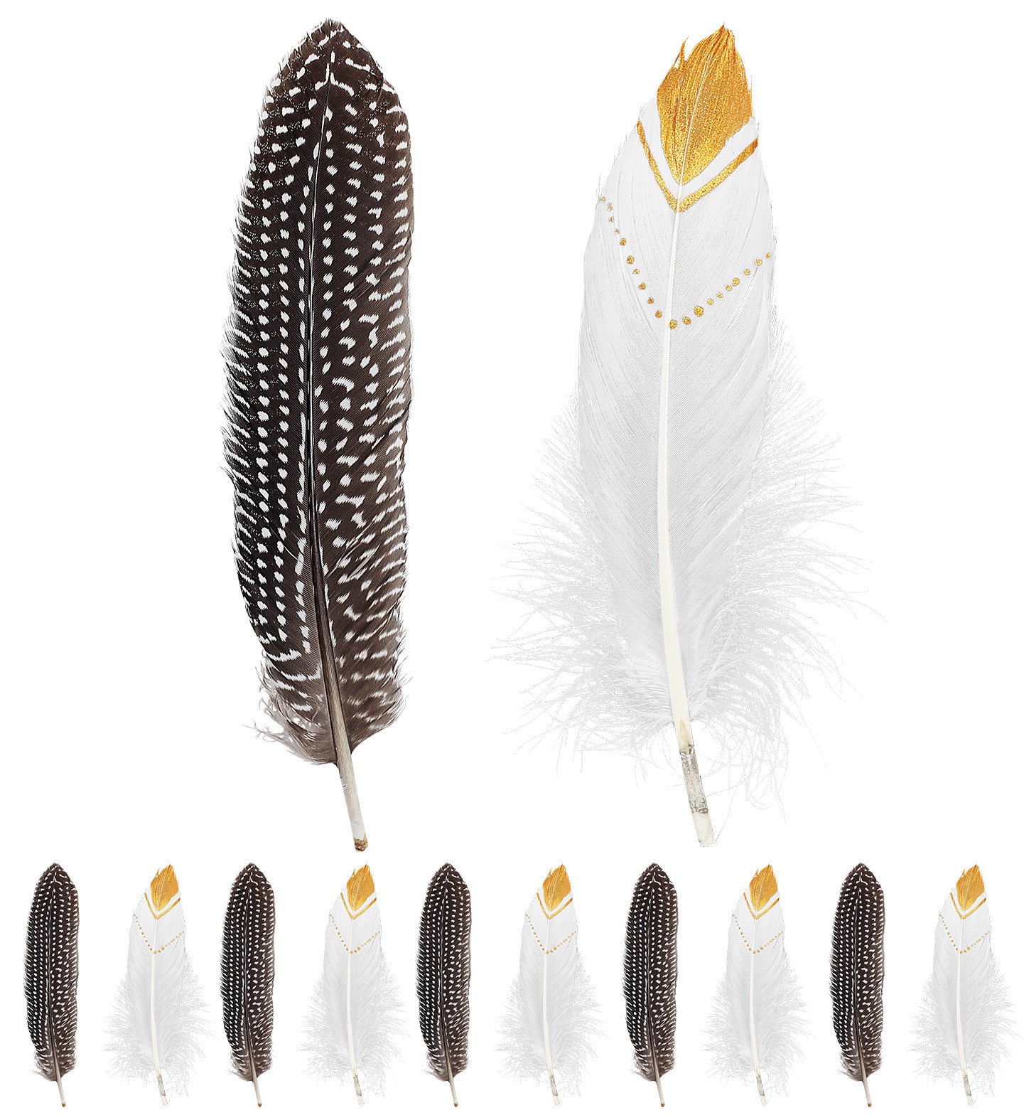 Set de Plumas de Indio Decoradas Blancas y Negras