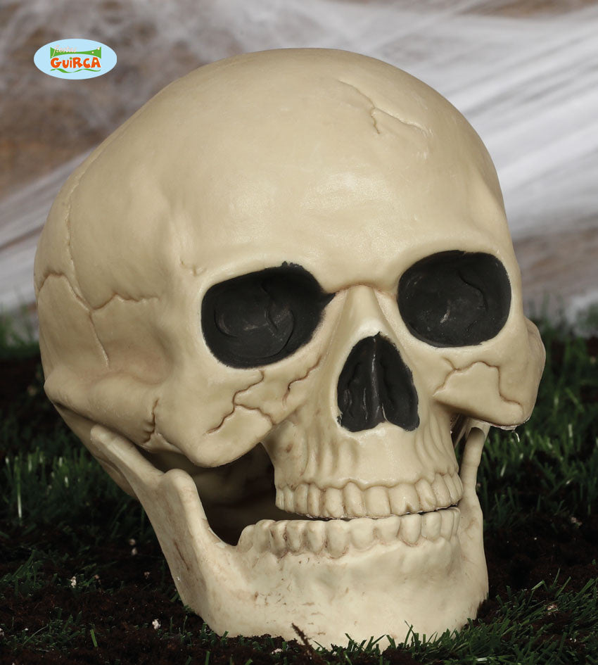 Calavera Decorativa 20cms