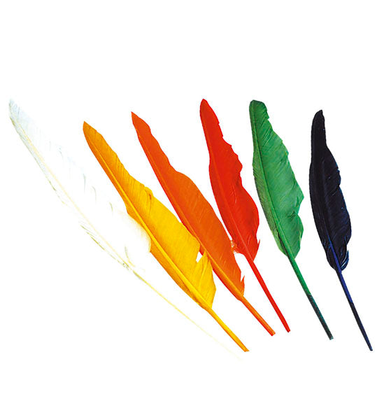 11 Plumas Indio en colores