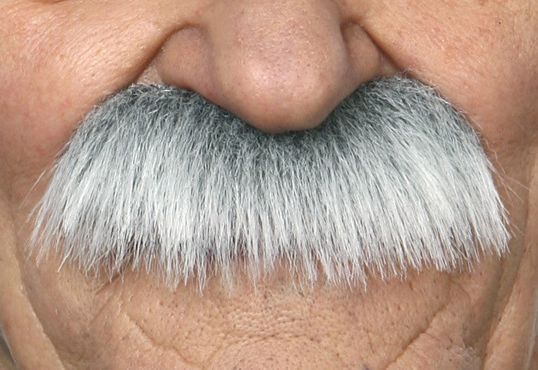 Bigote Canoso